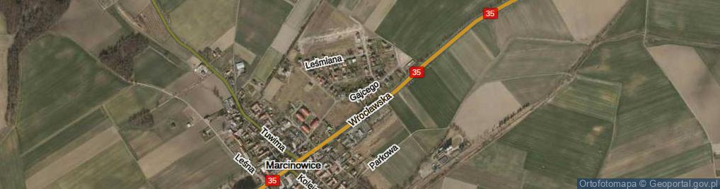 Zdjęcie satelitarne Kruczkowskiego Leona ul.