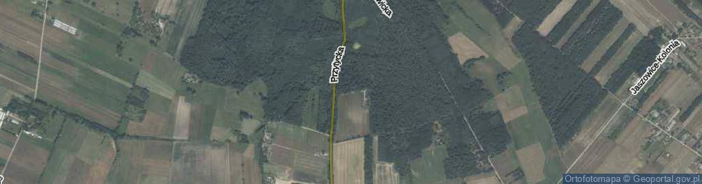 Zdjęcie satelitarne Gajowa ul.