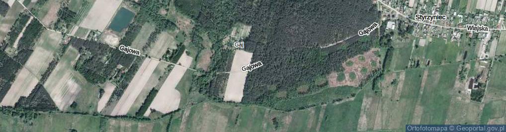 Zdjęcie satelitarne Gajowa ul.