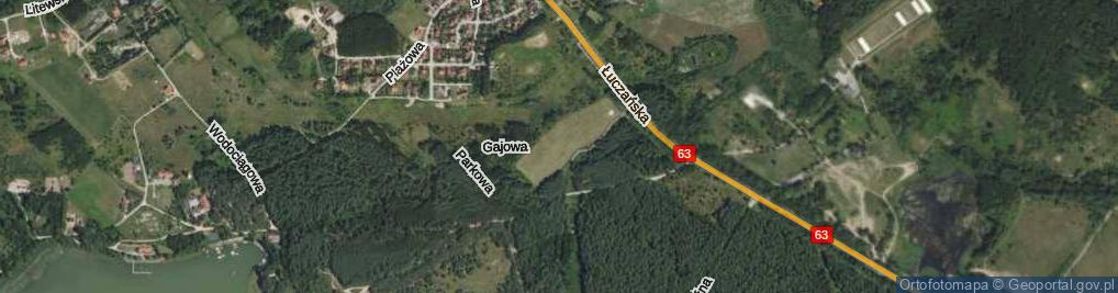 Zdjęcie satelitarne Gajowa ul.