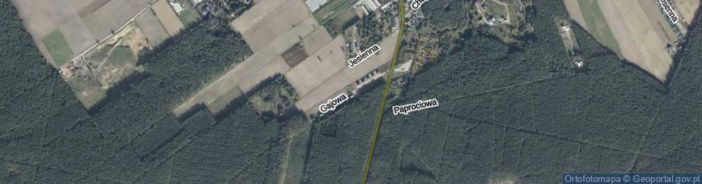 Zdjęcie satelitarne Gajowa ul.