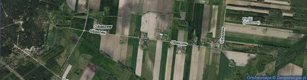 Zdjęcie satelitarne Gibaszew ul.