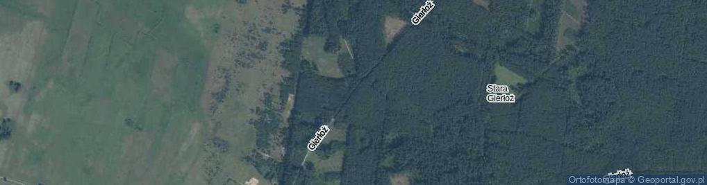 Zdjęcie satelitarne Gierłoż ul.