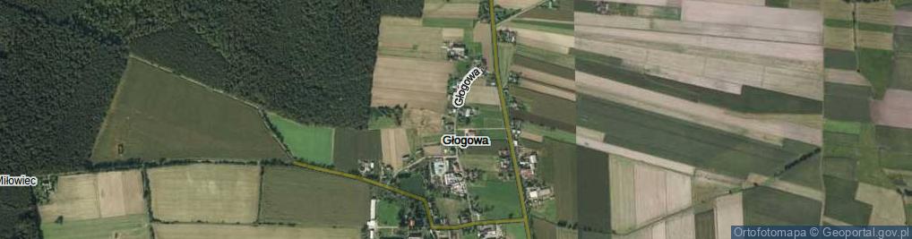 mapa satelitarna głogowa Głogowa Głogowa, Ulica, 63 440