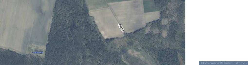Zdjęcie satelitarne Glicko ul.