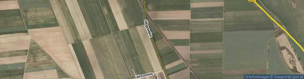 Zdjęcie satelitarne Głogowska ul.