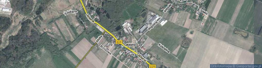 Zdjęcie satelitarne Głobino ul.
