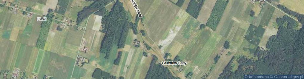 Zdjęcie satelitarne Głuchów-Lasy ul.