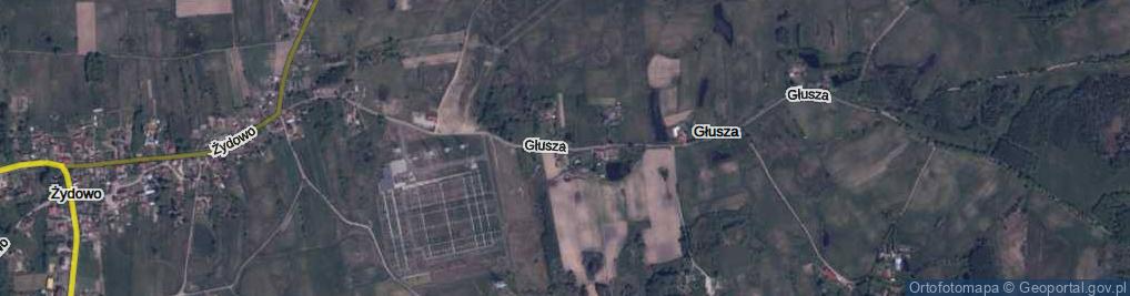 Zdjęcie satelitarne Głusza ul.