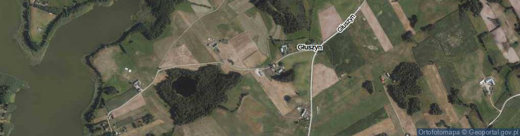 Zdjęcie satelitarne Głuszyn ul.