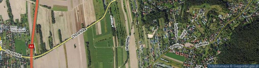 Zdjęcie satelitarne Głogowiec ul.