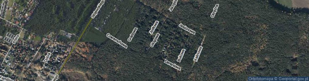 Zdjęcie satelitarne Głogowa ul.