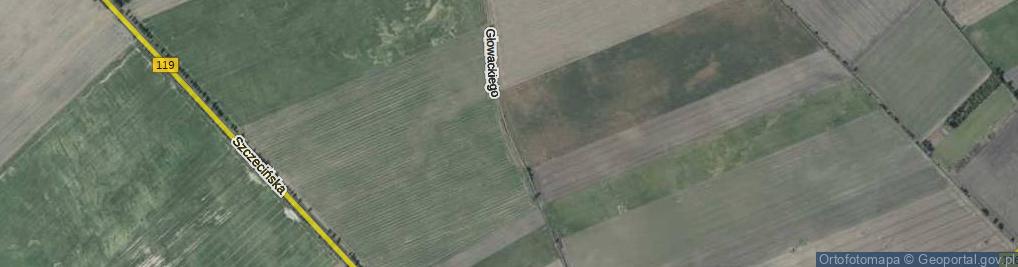 Zdjęcie satelitarne Głowackiego Bartosza ul.