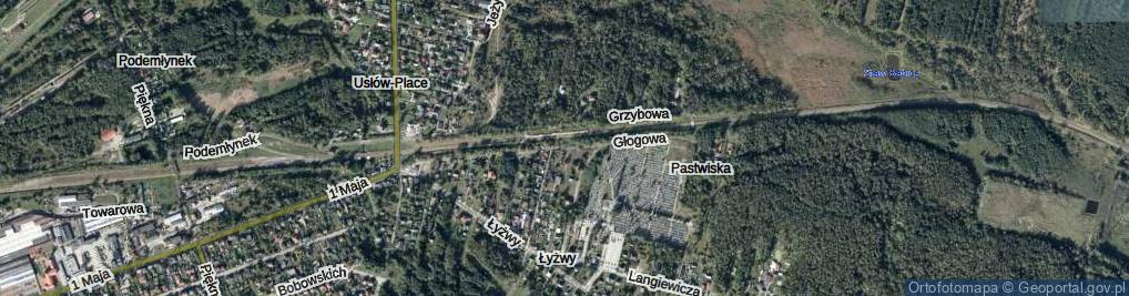 Zdjęcie satelitarne Głogowa ul.