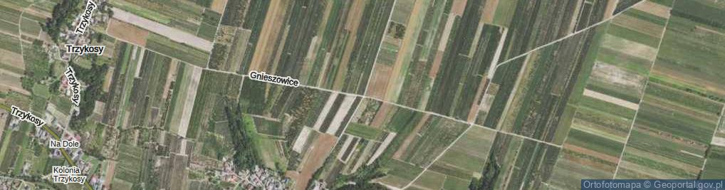 Zdjęcie satelitarne Gnieszowice ul.