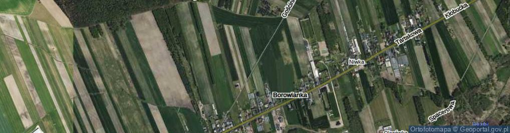 Zdjęcie satelitarne Gościniec ul.