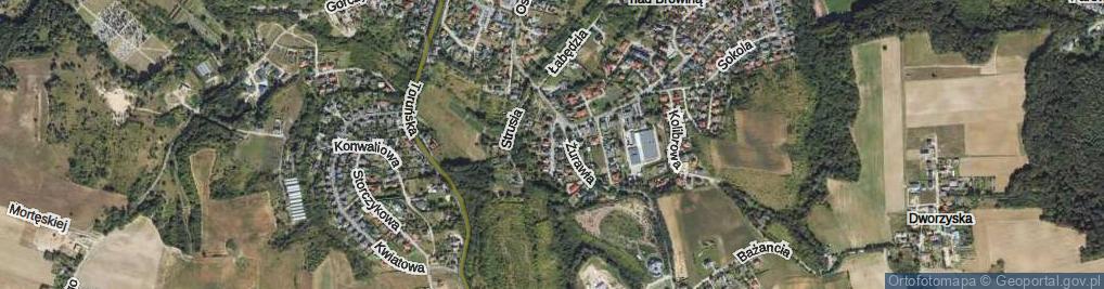 Zdjęcie satelitarne Gołębia ul.