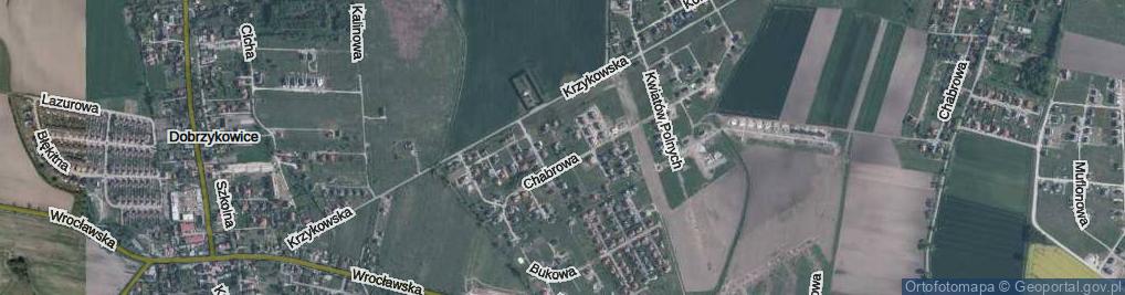 Zdjęcie satelitarne Goździkowa ul.