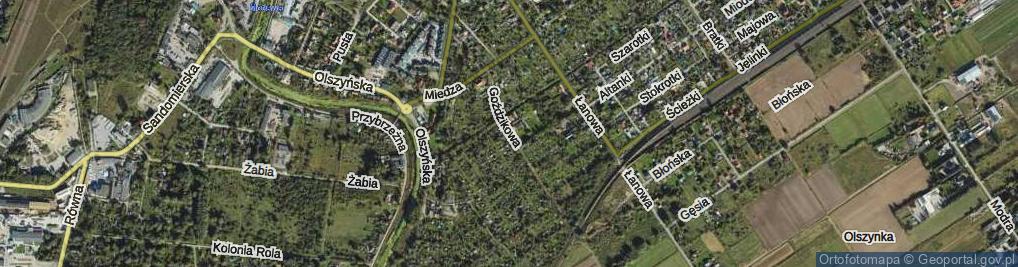 Zdjęcie satelitarne Goździkowa ul.