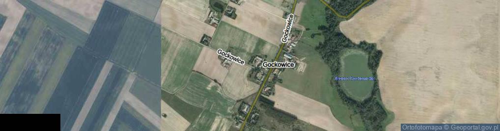 Zdjęcie satelitarne Gockowice ul.