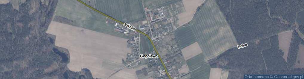 Zdjęcie satelitarne Gogolewo ul.