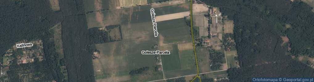 Zdjęcie satelitarne Golesze-Parcela ul.
