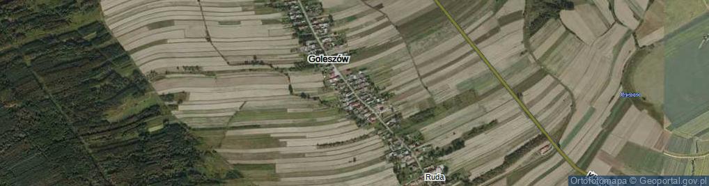 Zdjęcie satelitarne Goleszów ul.