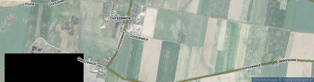 Zdjęcie satelitarne Gorszewice ul.