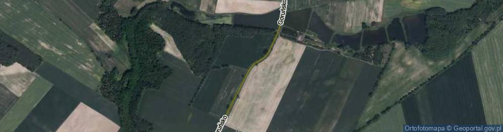 Zdjęcie satelitarne Goruńsko ul.