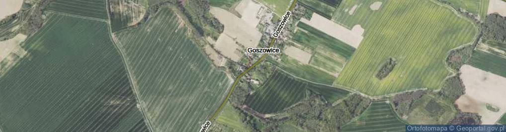 Zdjęcie satelitarne Goszowice ul.