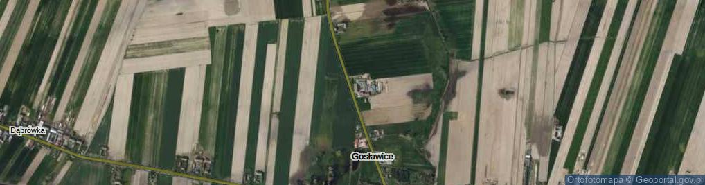 Zdjęcie satelitarne Gosławice ul.