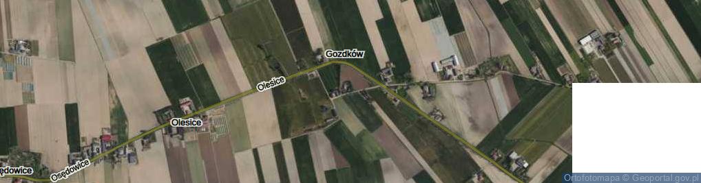 Zdjęcie satelitarne Gozdków ul.