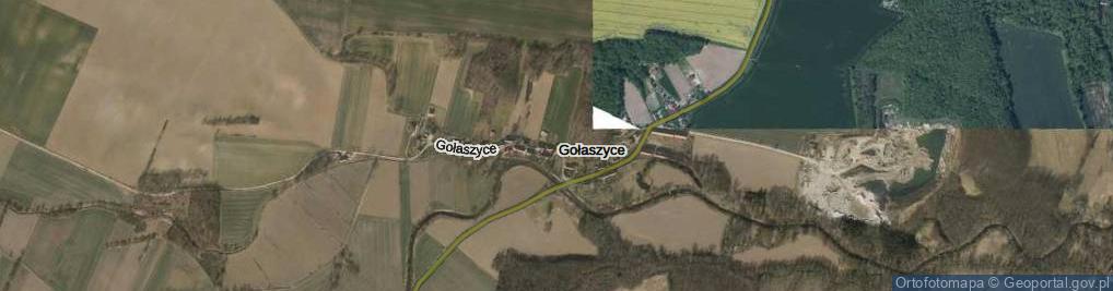 Zdjęcie satelitarne Gołaszyce ul.
