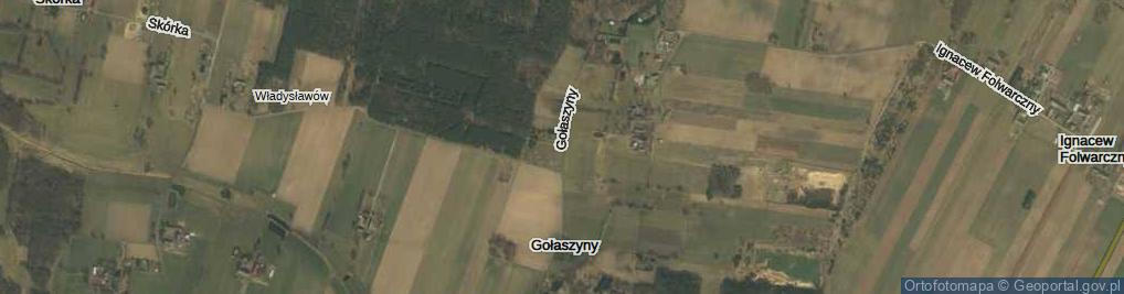 Zdjęcie satelitarne Gołaszyny ul.