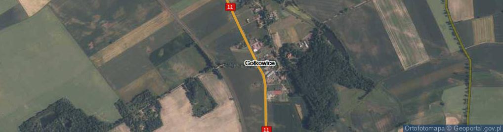 Zdjęcie satelitarne Gołkowice ul.