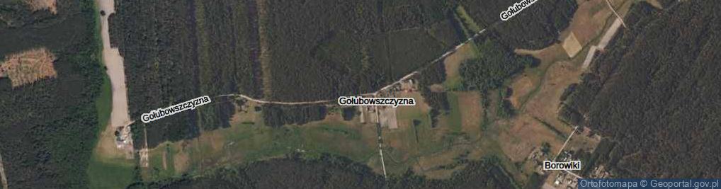 Zdjęcie satelitarne Gołubowszczyzna ul.