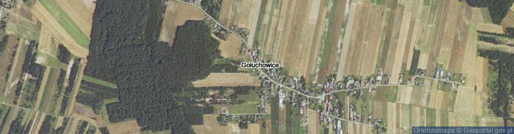 Zdjęcie satelitarne Gołuchowice ul.