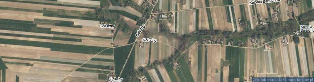 Zdjęcie satelitarne Gołuchy ul.