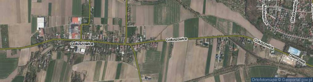Zdjęcie satelitarne Gołuszowice ul.