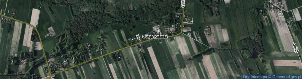 Zdjęcie satelitarne Gołąb-Kolonia ul.