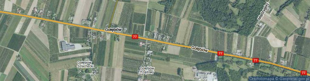 Zdjęcie satelitarne Gołębiów ul.