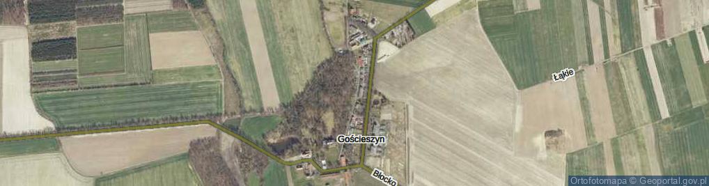 Zdjęcie satelitarne Gościeszyn ul.