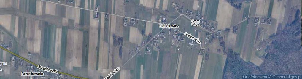 Zdjęcie satelitarne Gościewicz ul.