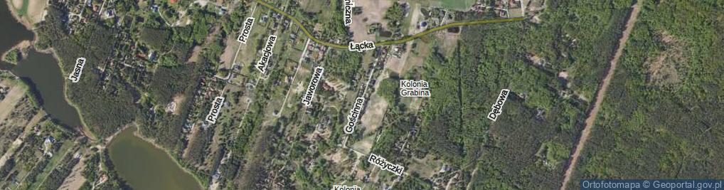 Zdjęcie satelitarne Gościnna ul.