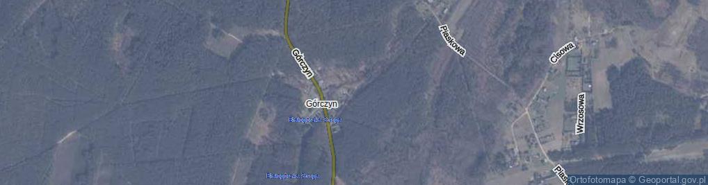 Zdjęcie satelitarne Górczyn ul.