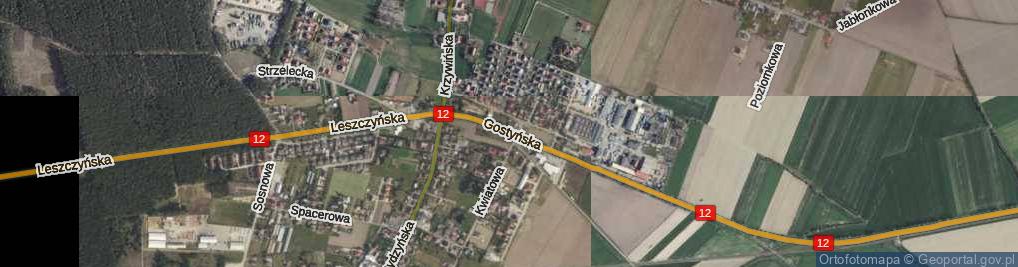 Zdjęcie satelitarne Gostyńska ul.