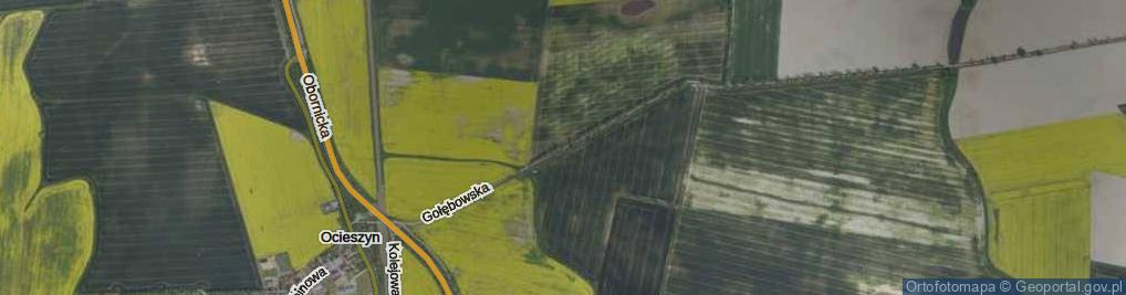 Zdjęcie satelitarne Gołębowska ul.