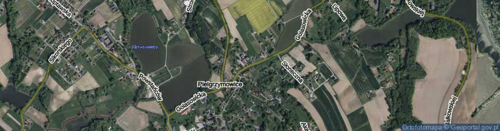 Zdjęcie satelitarne Golasowicka ul.