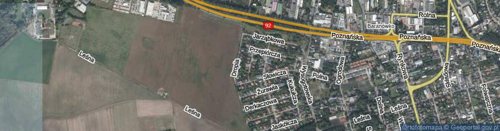 Zdjęcie satelitarne Gołębia ul.