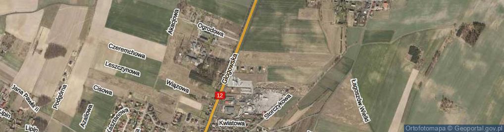 Zdjęcie satelitarne Goździkowa ul.